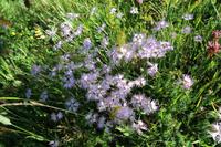 Gipfelbesteigung in Sorteny Naturpark zum Gipfel Pic de l’Estanyó