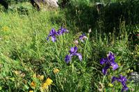 Gipfelbesteigung in Sorteny Naturpark zum Gipfel Pic de l’Estanyó