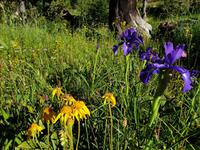 Gipfelbesteigung in Sorteny Naturpark zum Gipfel Pic de l’Estanyó