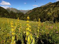 Gipfelbesteigung in Sorteny Naturpark zum Gipfel Pic de l’Estanyó