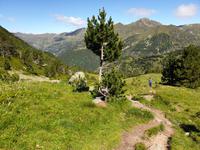Gipfelbesteigung in Sorteny Naturpark zum Gipfel Pic de l’Estanyó