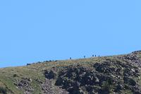 Gipfelbesteigung in Sorteny Naturpark zum Gipfel Pic de l’Estanyó