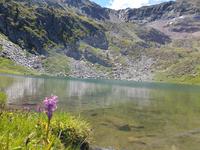 Gipfelbesteigung in Sorteny Naturpark zum Gipfel Pic de l’Estanyó