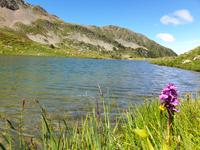 Gipfelbesteigung in Sorteny Naturpark zum Gipfel Pic de l’Estanyó
