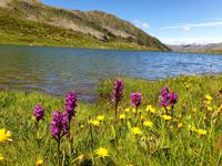 Gipfelbesteigung in Sorteny Naturpark zum Gipfel Pic de l’Estanyó