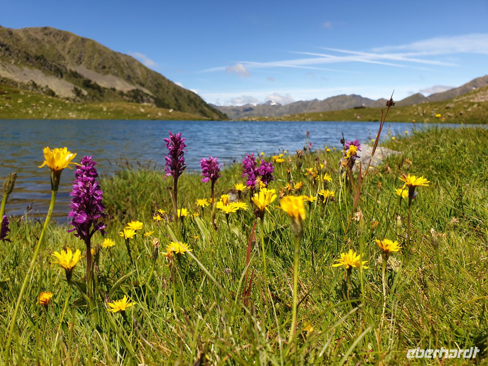 Gipfelbesteigung in Sorteny Naturpark zum Gipfel Pic de l’Estanyó