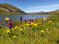 Gipfelbesteigung in Sorteny Naturpark zum Gipfel Pic de l’Estanyó