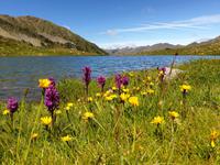 Gipfelbesteigung in Sorteny Naturpark zum Gipfel Pic de l’Estanyó