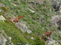 Gipfelbesteigung in Sorteny Naturpark zum Gipfel Pic de l’Estanyó