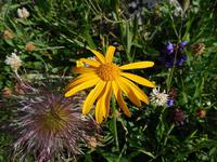 Gipfelbesteigung in Sorteny Naturpark zum Gipfel Pic de l’Estanyó