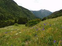 Gipfelbesteigung in Sorteny Naturpark zum Gipfel Pic de l’Estanyó
