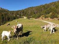 Wanderung Grau Roig entlang der malerischen 15 Bergseen