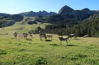 Wanderung Grau Roig entlang der malerischen 15 Bergseen