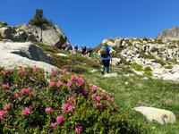Wanderung Grau Roig entlang der malerischen 15 Bergseen