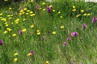 Wanderung Grau Roig entlang der malerischen 15 Bergseen