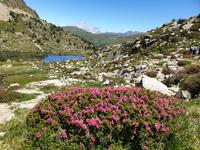 Wanderung Grau Roig entlang der malerischen 15 Bergseen