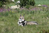 Wanderung Grau Roig entlang der malerischen 15 Bergseen