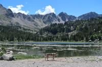 Wanderung Grau Roig entlang der malerischen 15 Bergseen