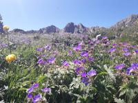 Single-Wanderreise Pyrenäen – Naturerlebnis Andorra