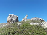 Single-Wanderreise Pyrenäen – Naturerlebnis Andorra