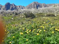 Single-Wanderreise Pyrenäen – Naturerlebnis Andorra