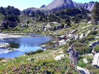 Single-Wanderreise Pyrenäen – Naturerlebnis Andorra