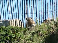 Single-Wanderreise Pyrenäen – Naturerlebnis Andorra