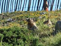 Single-Wanderreise Pyrenäen – Naturerlebnis Andorra