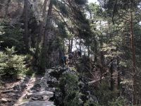 immer weiter über Stock und Stein bergan