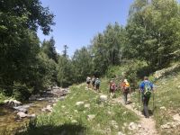 ... und weiter gehts auf schmalen Pfaden