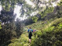 Bergauf durch Farne und Heide