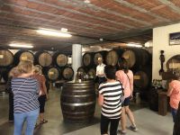 Verkostung von 18 Likören