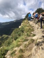 schmale Pfade fordern unsere Konzentration 