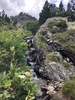 Nebenbach des Riu de Comapedrosa