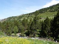 214. Vall de Sorteny