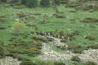 in der Ferne beobachten wir die 