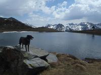 Bergsee im Incles Tal