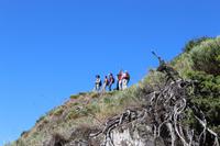 Aussicht auf dem Berg