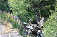 Fluss im Nationalpark von Andorra