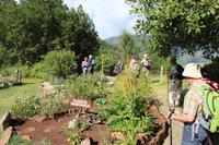 Blumen- & Kräutergarten im Nationalpark 