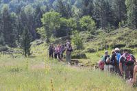 Wanderung durch den Nationalpark