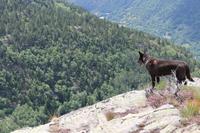 Rica auf dem Plateau