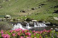 Weg zu Tristaina-Seen