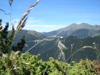 Naturreservat Vedat de Xixerella