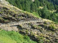 56 auf dem Weg 
