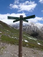 ...immer auf dem richtigen Weg!