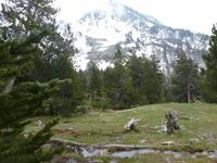 Cami Ral - Sorteny - unser Weg