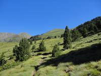 Bergwelt zwischen Vall de Riu und Canillo