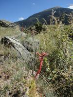 schöne Natur bei Canillo