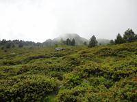 wunderschöne Natur, Vall d´ Incles